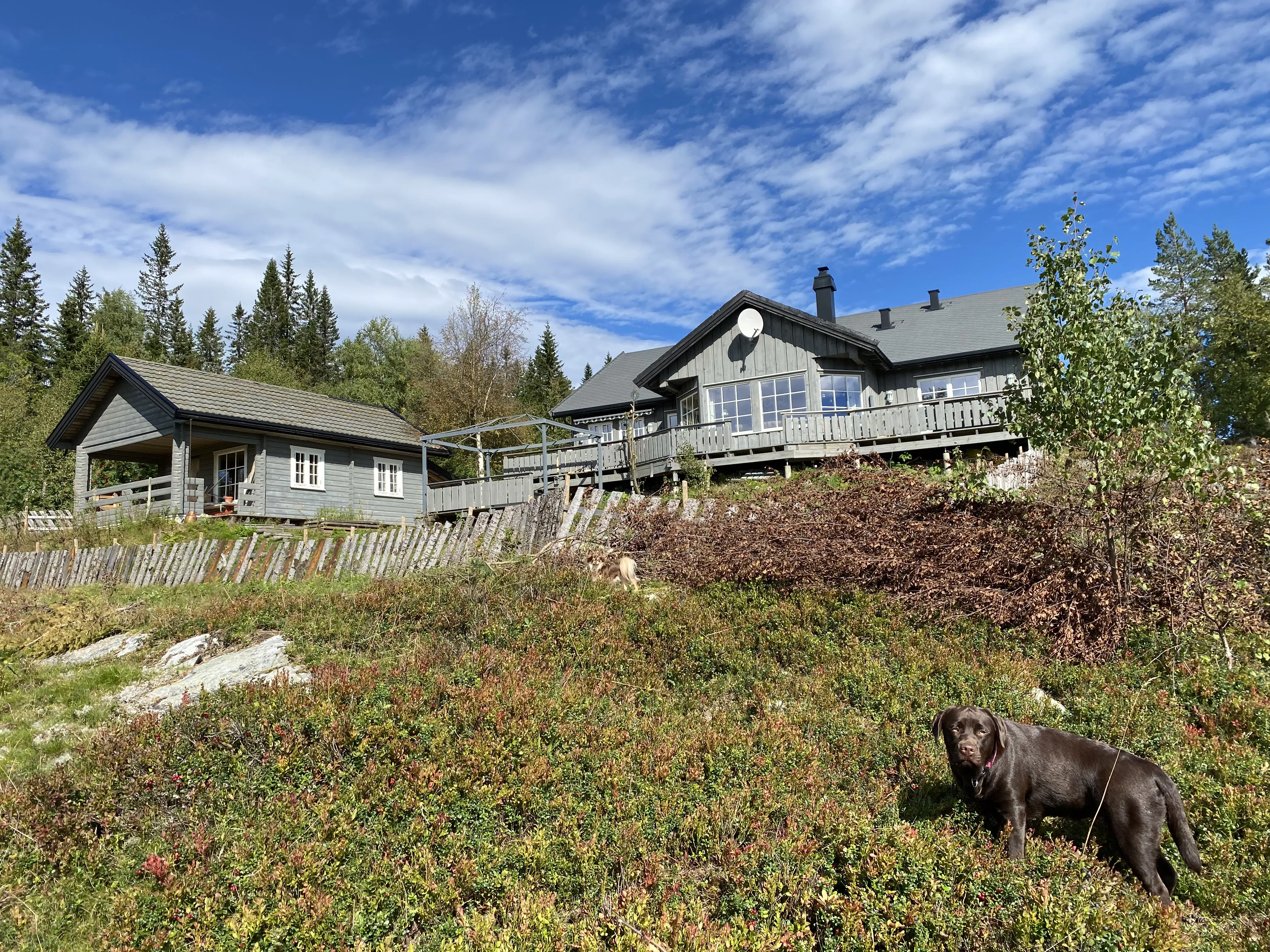 Hytta i Søndre Land 1